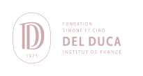 Fondation